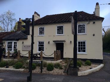 Major Plants Ltd - Before after - London - UK - Image 