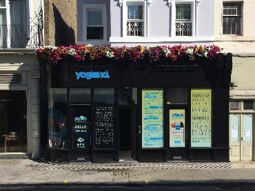 Major Plants Ltd - Before after - London - UK - Image 5