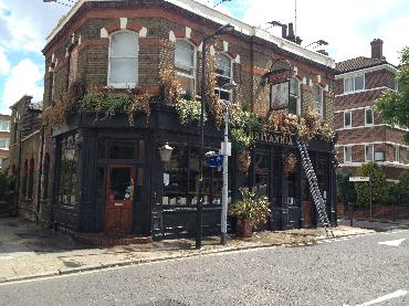 Major Plants Ltd - Before after - London - UK - Image 6