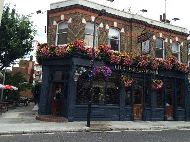 Major Plants Ltd - Before after - London - UK - Image 7