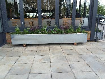 Major Plants Ltd - Before after - London - UK - Image 23