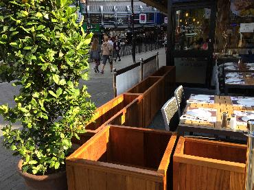 Major Plants Ltd - Before after - London - UK - Image 28