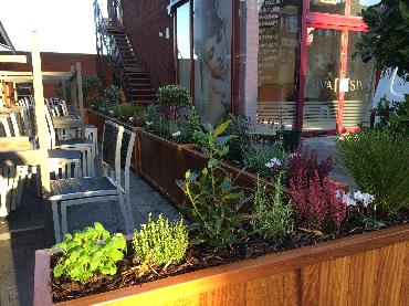 Major Plants Ltd - Before after - London - UK - Image 29