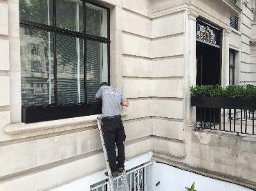 Major Plants Ltd - Before after - London - UK - Image 34