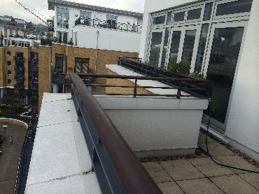 Major Plants Ltd - Before after - London - UK - Image 40