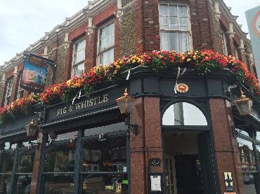 Major Plants Ltd - Before after - London - UK - Image 45