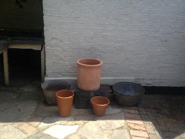 Major Plants Ltd - Before after - London - UK - Image 48