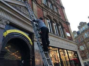 Major Plants Ltd - Before after - London - UK - Image 54