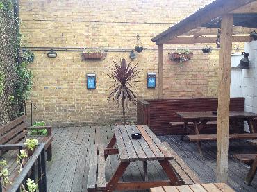 Major Plants Ltd - Before after - London - UK - Image 62