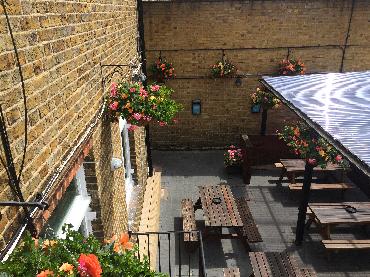 Major Plants Ltd - Before after - London - UK - Image 63