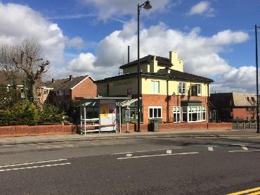 Major Plants Ltd - Before after - London - UK - Image 66
