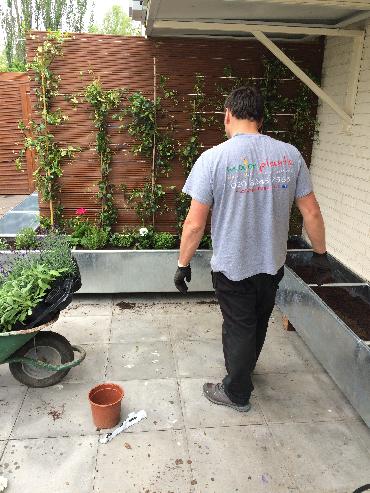 Major Plants Ltd - Gökyüzü Chingford - London - UK - Image 22