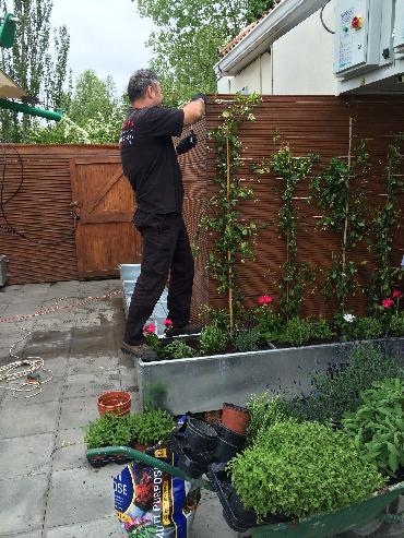 Major Plants Ltd - Gökyüzü Chingford - London - UK - Image 23