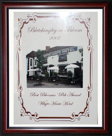 Major Plants Ltd - Hanging Basket Service Awards - London - UK - Image 8