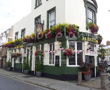 Major Plants Ltd - Hanging Basket Services - London - UK - Image 186