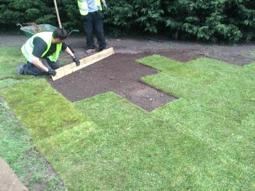 Major Plants Ltd - Lawn - London - UK - Image 6