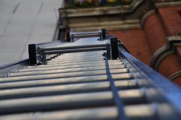 Major Plants Ltd - Masons Arms - London - UK - Image 