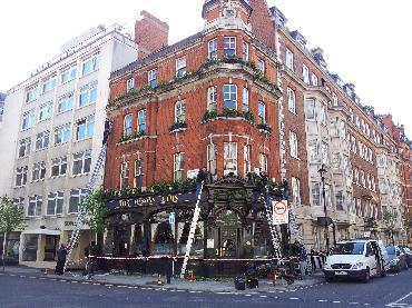 Major Plants Ltd - Masons Arms - London - UK - Image 1