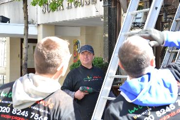 Major Plants Ltd - Masons Arms - London - UK - Image 3