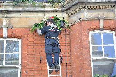 Major Plants Ltd - Masons Arms - London - UK - Image 5
