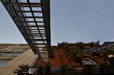 Major Plants Ltd - Masons Arms - London - UK - Image 8