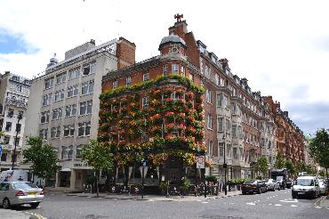 Major Plants Ltd - Masons Arms - London - UK - Image 19