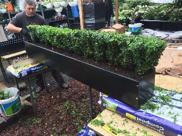 Major Plants Ltd - Metal Planters - London - UK - Image 4