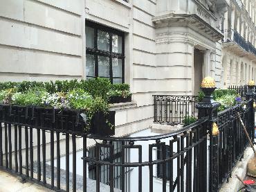 Major Plants Ltd - Metal Planters - London - UK - Image 6