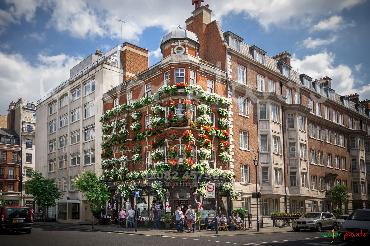 Major Plants Ltd - Our Customers - London - UK - Image 