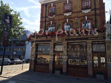 Major Plants Ltd - Our Customers - London - UK - Image 11