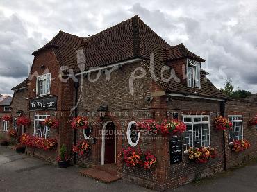 Major Plants Ltd - Our Customers - London - UK - Image 17