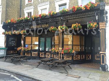 Major Plants Ltd - Our Customers - London - UK - Image 63