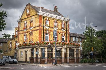 Major Plants Ltd - Our Customers - London - UK - Image 87