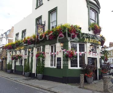 Major Plants Ltd - Our Customers - London - UK - Image 94