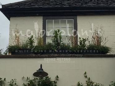 Major Plants Ltd - Pastoral - London - UK - Image 17