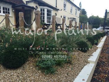 Major Plants Ltd - Pastoral - London - UK - Image 19