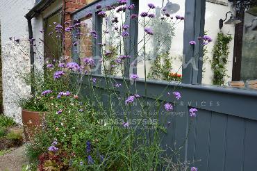 Major Plants Ltd - Pastoral - London - UK - Image 20