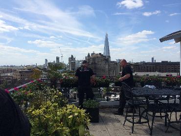 Major Plants Ltd - Penthouse - London - UK - Image 3