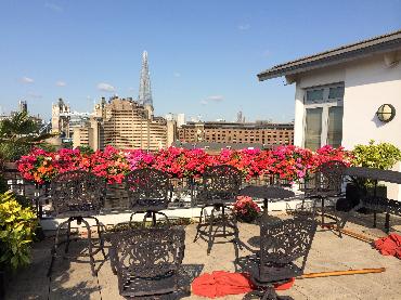 Major Plants Ltd - Penthouse - London - UK - Image 8