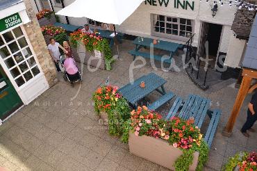 Major Plants Ltd - Pots and Troughs - London - UK - Image 2