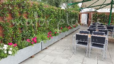 Major Plants Ltd - Pots and Troughs - London - UK - Image 29