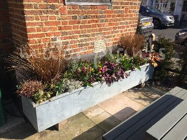Major Plants Ltd - Pots and Troughs - London - UK - Image 60