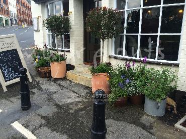 Major Plants Ltd - Pots and Troughs - London - UK - Image 103
