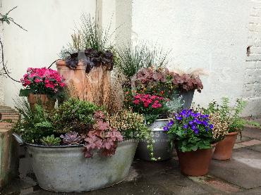 Major Plants Ltd - Pots and Troughs - London - UK - Image 142