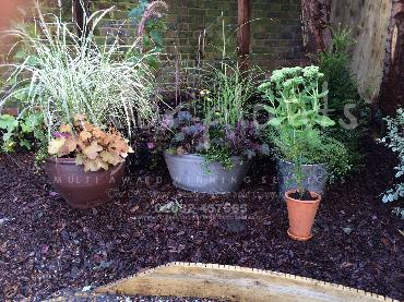 Major Plants Ltd - Pots and Troughs - London - UK - Image 152