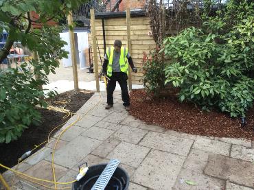 Major Plants Ltd - WBC The Victoria - London - UK - Image 18