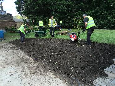Major Plants Ltd - WBC The Victoria - London - UK - Image 25