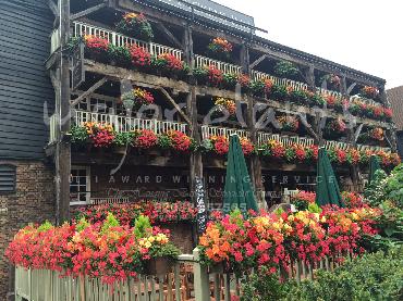 Major Plants Ltd - Window Boxes - London - UK - Image 1