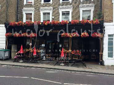 Major Plants Ltd - Window Boxes - London - UK - Image 2