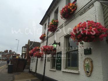 Major Plants Ltd - Window Boxes - London - UK - Image 13